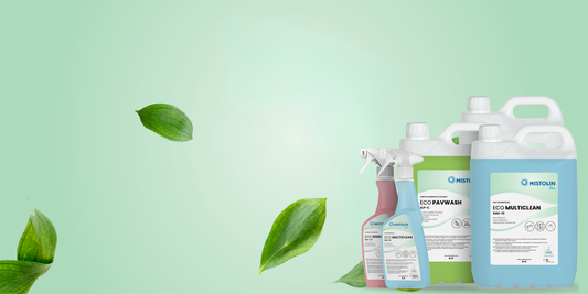 EU Ecolabel: sustentabilidade com eficácia na limpeza profissional