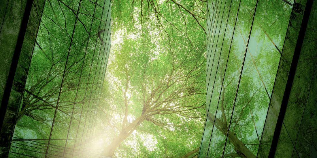 Facility Services e ESG: a sustentabilidade como prioridade nas empresas